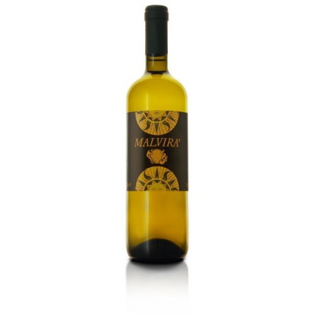 Langhe Sauvignon Malvirà