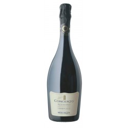 Lambrusco Reggiano Concerto