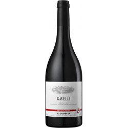 Barbera d’Asti Cascina Gavelli, Coppo