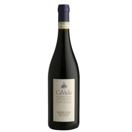 Barbera d'Alba Bric du Luv