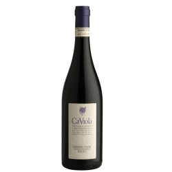 Barbera d'Alba Brichet, Cà Viola