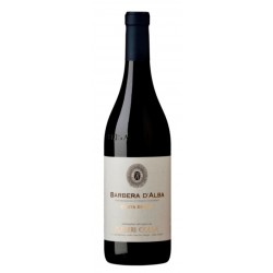 Barbera d'Alba Costa Bruna