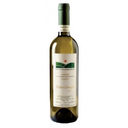 Langhe Sauvignon, Matteo Correggia