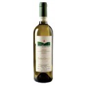 Langhe Sauvignon, Matteo Correggia