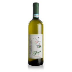 6 bottiglie di Langhe Favorita, Ghiga