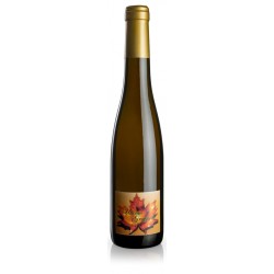 Passito Di Moscato Ultimo Grappolo