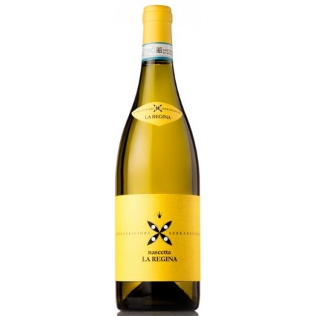 Langhe Nascetta La Regina