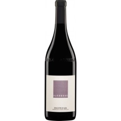 Dolcetto d’Alba