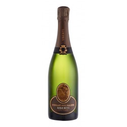 Franciacorta Extra Brut Millesimato Comarì del Salem