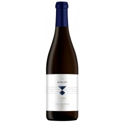 Merlot Trentino