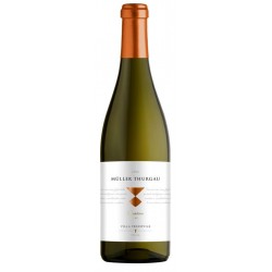 Müller Thurgau Trentino