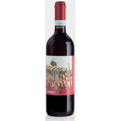 Langhe Dolcetto Selezione Radici Ciabot, Ciabot 1896