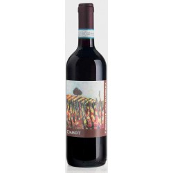 Piemonte Barbera Selezione Radici Ciabot,