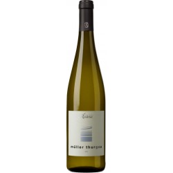 Müller Thurgau dell’Alto Adige