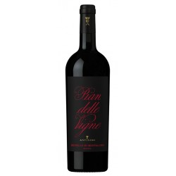 Brunello di Montalcino Pian delle Vigne