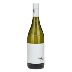 Vino da Uve di Moscato Quattro Filari, Monchiero