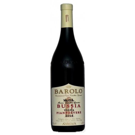 Barolo Me.G.A. Bussia Vigna Pianpolvere