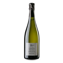 Roero Arneis Metodo Classico Dosage Zero Blanc de Blancs Giovanni, Angelo Negro