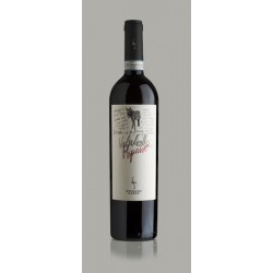 Valpolicella Classico Superiore Ripasso, Secondo Marco