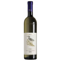 6 Langhe Bianco Cinerino, Marziano Abbona