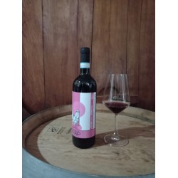 Langhe Nebbiolo, Giuseppe Gallino