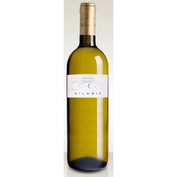 Vino Bianco Vivace Hilaris, Pietro Piovano		