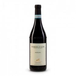 Barbera d’Alba Paolina