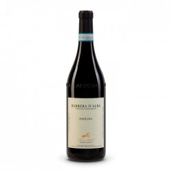 Barbera d’Alba Paolina