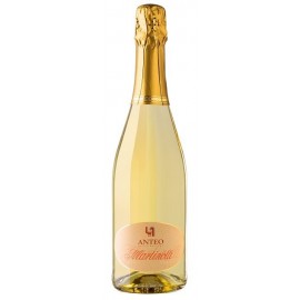 Martinotti Brut, Anteo