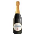 Franciacorta Extra Brut Ricci Curbastro